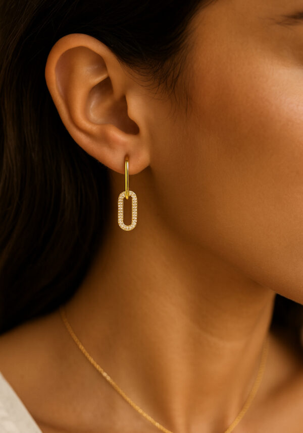 link earrings
