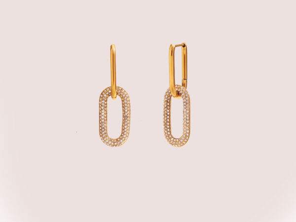 link earrings