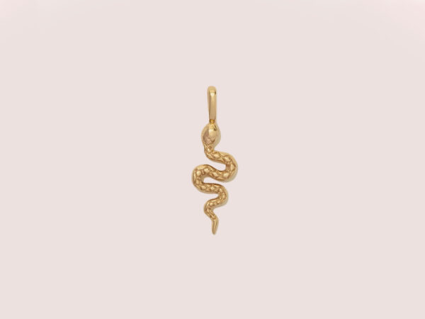 snake charm